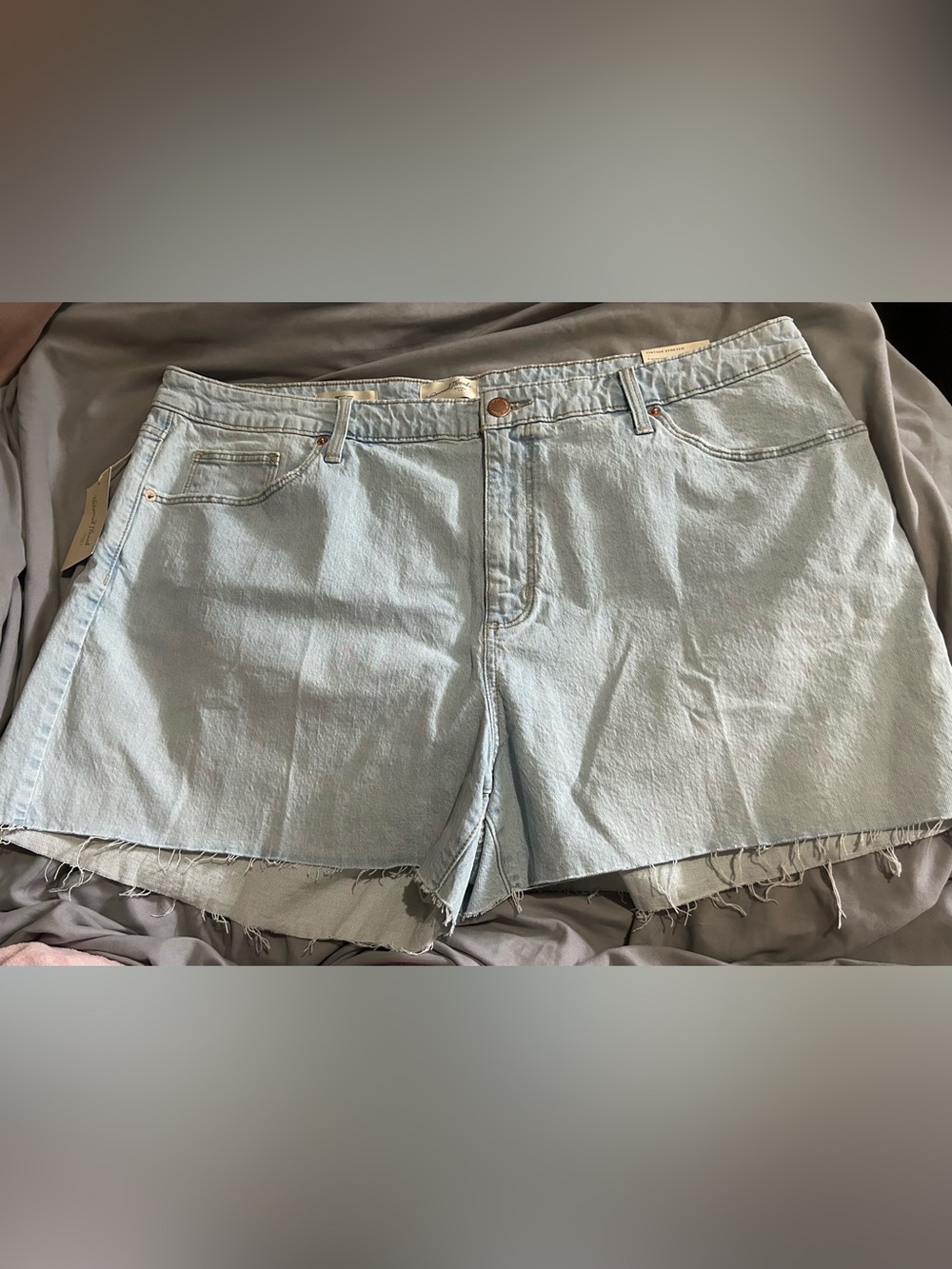 Vintage Universal Thread Light Wash Cutoff Denim Shorts